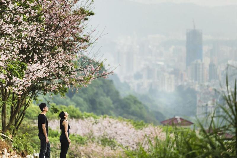 ホテル ロイヤル 北投 台北市 エクステリア 写真